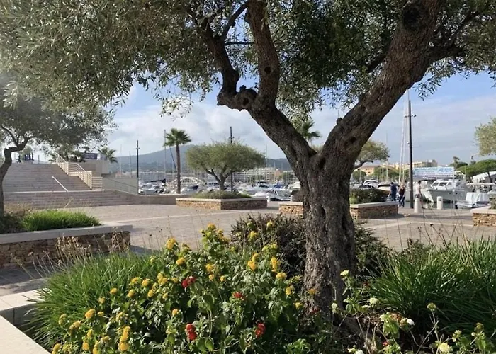 Appartamento Sainte-maxime, 1 Pièce, 2 Personnes - Fr-1-226-444 Sainte-Maxime