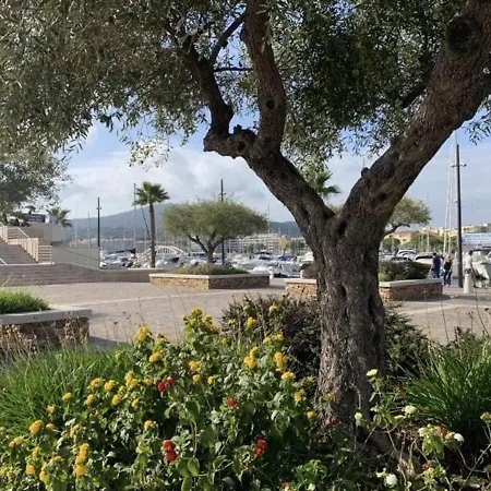 Apartman Lumineux A 30m De La Plage, Balcon, Clim, Commerces A Cote - Fr-1-226-444 Sainte-Maxime