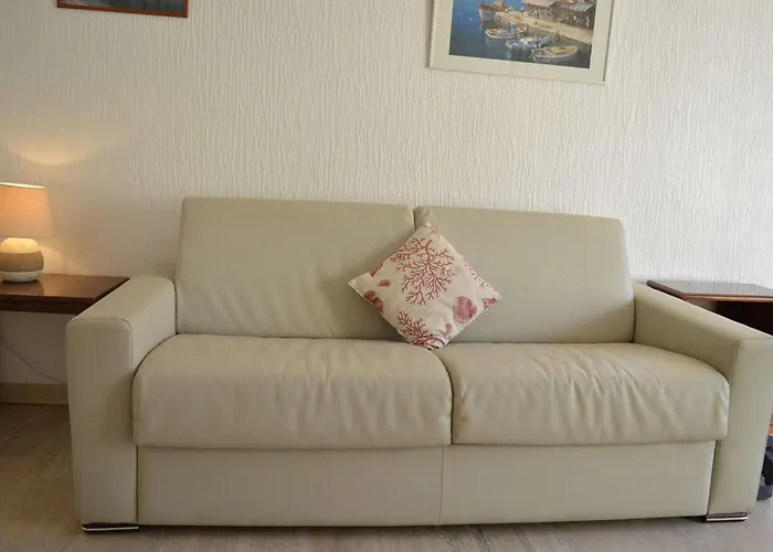 Lägenhet Lumineux A 30m De La Plage, Balcon, Clim, Commerces A Cote - Fr-1-226-444 *